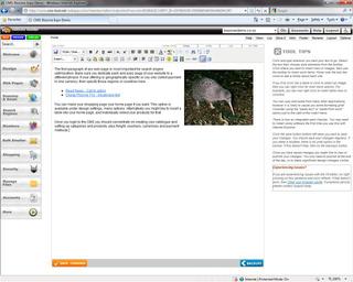 Word Style Editor